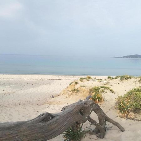 Casa Al Mare Con Giardino Villa Alghero Kültér fotó