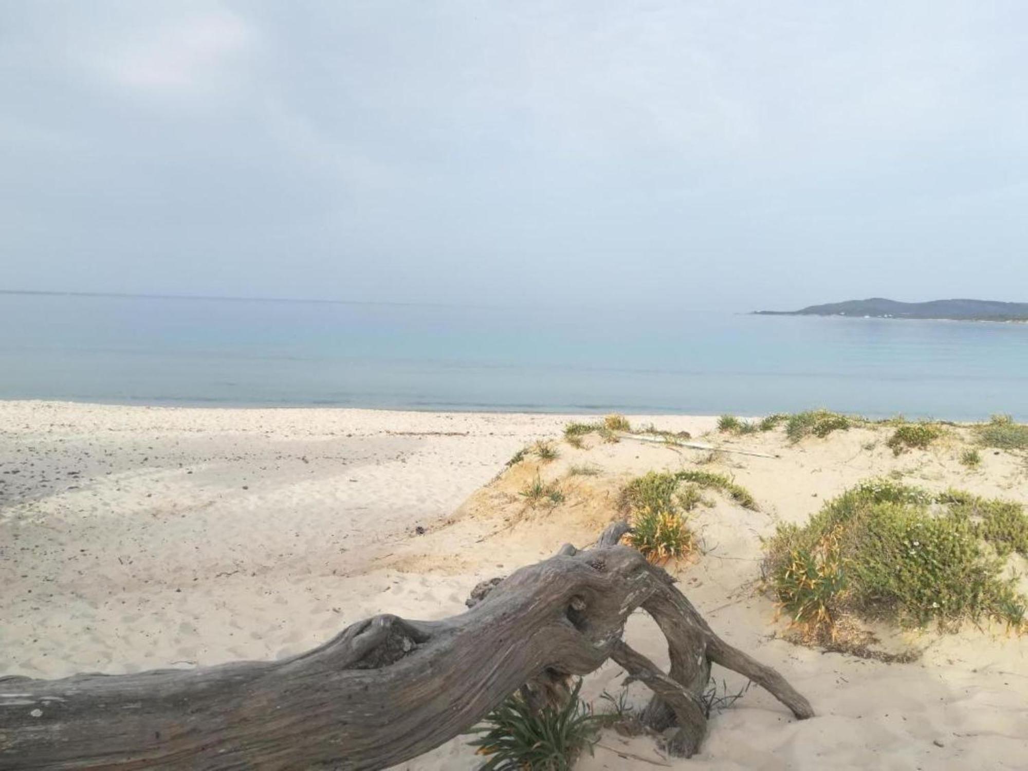 Casa Al Mare Con Giardino Villa Alghero Kültér fotó